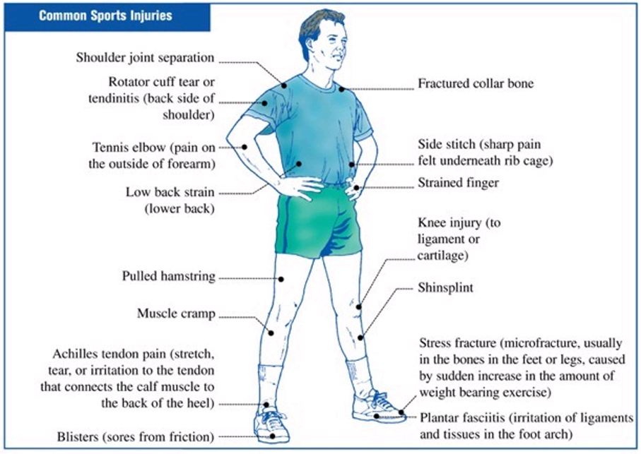 Sit Bone Pain  Ischial Bursitis Treatment in India